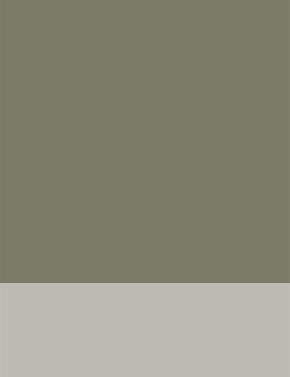 gw hair color style color collection key color brunette shade gravity grey teaser 01 2019