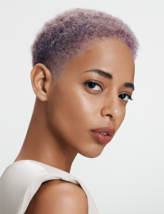 gw hcs essentialism l teaser 1