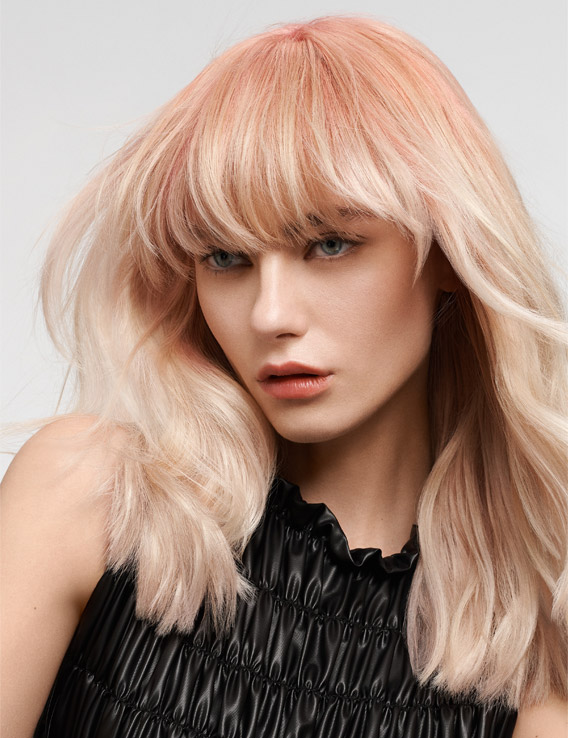 gw hcs essentialism l teaser 2