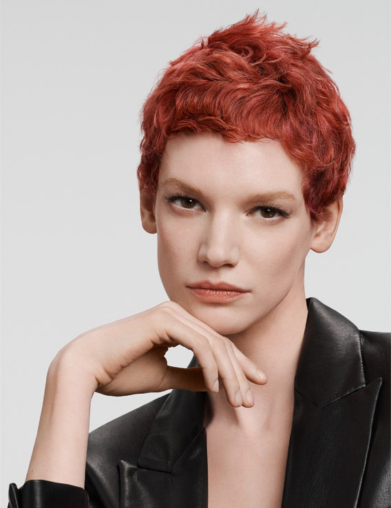 gw hcs essentialism l teaser 5