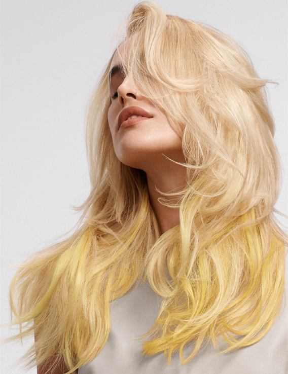 gw hcs essentialism l teaser 6