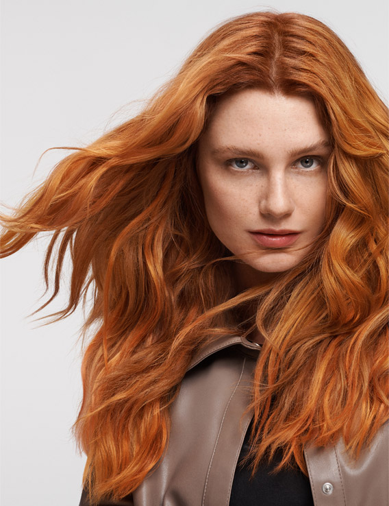 gw hcs essentialism l teaser 9