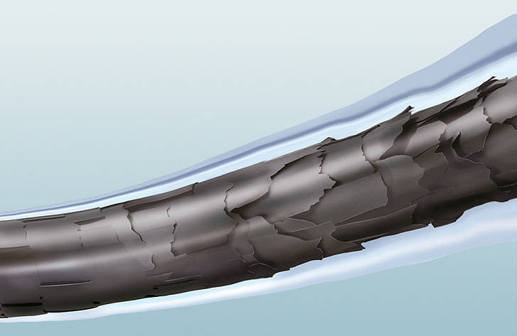 csm EVOLUTION Technology3 8f92dd2d89