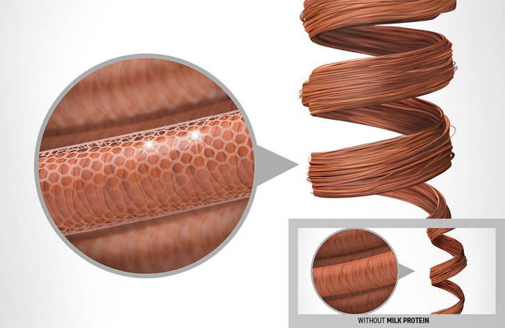 csm DS CurlyTwist Technology MilkProtein 74eb6ec6d0