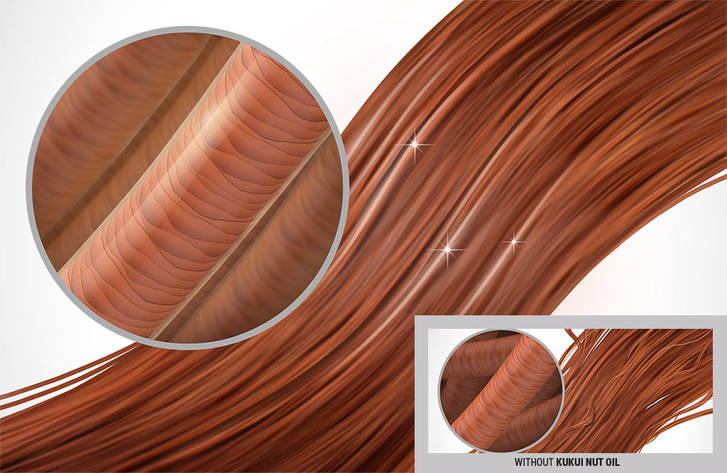 csm DS JustSmooth Technology KUKUI NUT OIL 4b36b41bf2