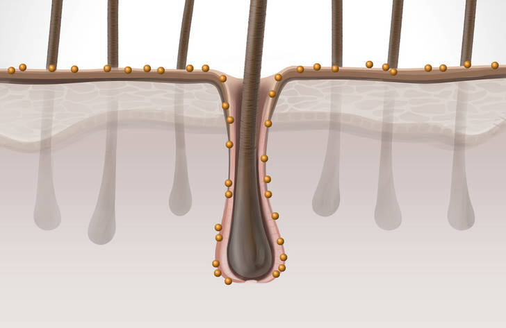 csm DS Men Technology Guarana f04f32dbf8