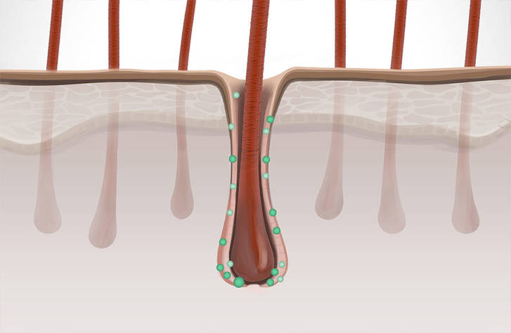 csm DS ScalpSpecialist Technology T Flavanone 74230628dd