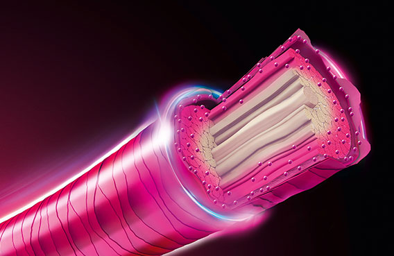 goldwell elumen teaser technology 01 2019