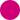 Colorzoom education psychedelic pink icon 2018