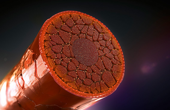 06 GW elumenation services m teaser technic 2020