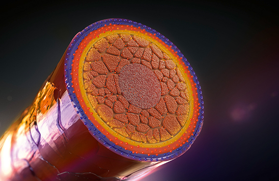 07 GW elumenation services m teaser technic 2020