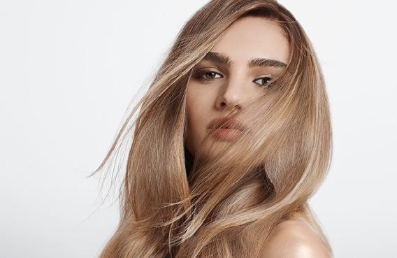 GW LightDimensions Services M Slider 1