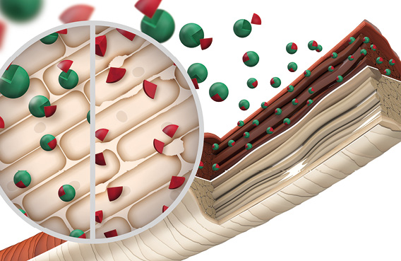 GW LightDimensions Services Technology M Slider 1