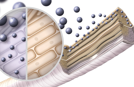 GW LightDimensions Services Technology M Slider 3